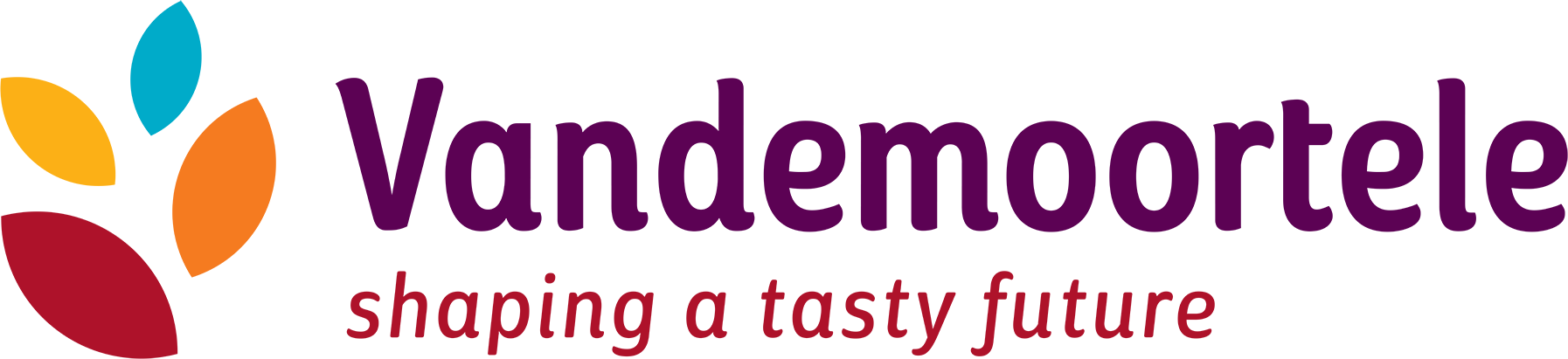 Logo Vandemoortele